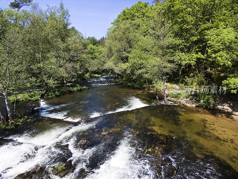 River, landscape,  trees, Betanzos, A Coruña province, Galicia, Spain.